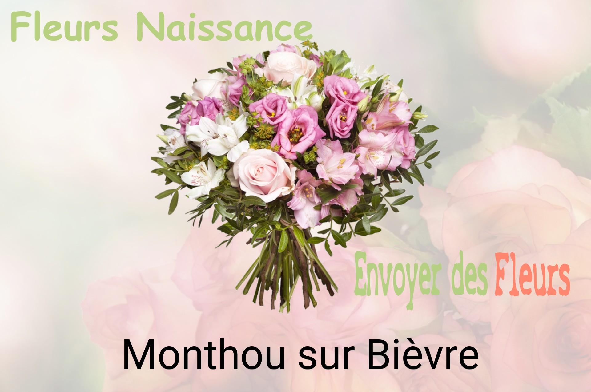 Bouquet de fleurs de naissance livré à Monthou-sur-Bièvre